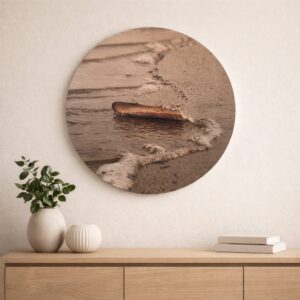 Houten muurcirkel Schelp – Kustjuweel met een schelp gevonden op het strand van Terschelling