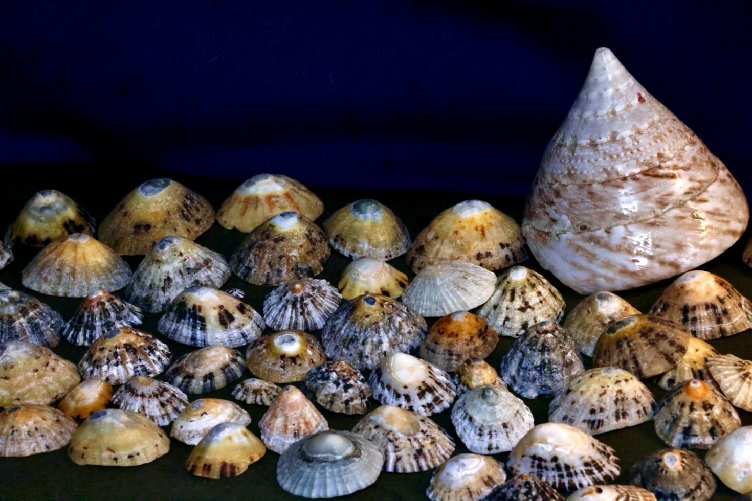 Hoe onze houtprints een premium sfeer creëren